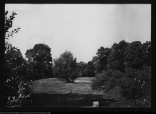 Zabłud&oacute;w, park podworski