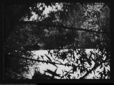 Zabłud&oacute;w, park podworski