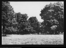 Zabłud&oacute;w, park podworski