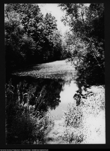 Zabłud&oacute;w, park podworski