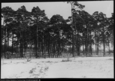Olsztynek, Park Etnograficzny