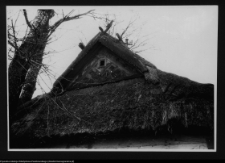 Podlasie i wschodnie Mazowsze