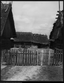Lesznia