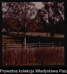 Białowieża