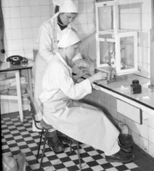 Technikum Mleczarskie, uczennica w laboratorium