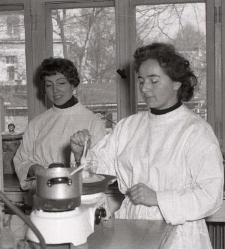 Kontrola sanitarna plac&oacute;wek gastronomicznych, laboratorium