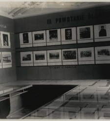 Wystawa powstań śląskich i plebiscytu : sala przyw&oacute;dc&oacute;w