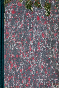 Polska i Litwa w dziejowym stosunku: praca zbiorowa