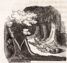 Drzeworyt - ilustracja do książki [Dokument ikonograficzny]