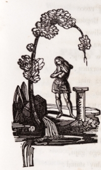 Drzeworyt - ilustracja do książki [Dokument ikonograficzny]