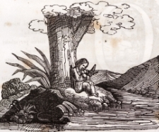 Drzeworyt - ilustracja do książki [Dokument ikonograficzny]