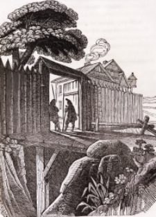 Drzeworyt - ilustracja do książki [Dokument ikonograficzny]