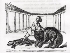 Drzeworyt - ilustracja do książki [Dokument ikonograficzny]