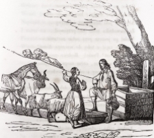 Drzeworyt - ilustracja do książki [Dokument ikonograficzny]