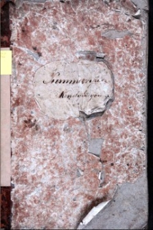 Summariusz Konstytucyow