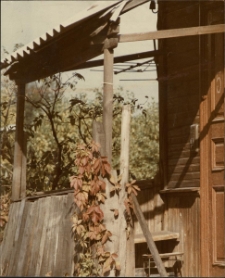 Białystok. Ganek [Dokument ikonograficzny]