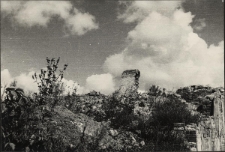 Białystok. Ruiny (r&oacute;g ul. Warszawskiej i Sienkiewicza) [Dokument ikonograficzny]