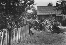 Rulewicze. Kolekcja fotografii dokumentalnej „Losy posłuchane – Białoruś”. [Dokument ikonograficzny]