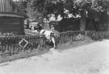 Serafiny. Kolekcja fotografii dokumentalnej „Losy posłuchane – Białoruś”. [Dokument ikonograficzny]