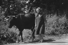 Mieszkanka wioski w okolicach Lidy. Kolekcja fotografii dokumentalnej „Losy posłuchane – Białoruś”. [Dokument ikonograficzny]
