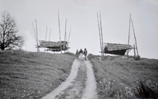 Krasnopol. Kolekcja fotografii dokumentalnej – Polska. Pogranicze polsko-litewskie. [Dokument ikonograficzny]