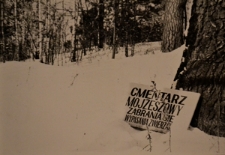 Krasnopol. Cmentarz żydowski. Kolekcja fotografii dokumentalnej &ndash; Polska. Pogranicze polsko-litewskie. [Dokument ikonograficzny]