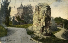 Wilno : Ruiny Zamku