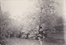 Chłopiec w ogrodzie, ul. Majowa 14, Białystok, lata 60. XX w.