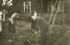 Ludwika, Jan i Barbara Popławscy pracują w ogrodzie przy ul. Słonimskiej 32/5, Białystok, 1947 r.