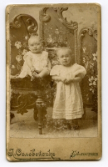 Portret dwójki dzieci, zdjęcie wykonano w atelier fotograficznym, Białystok, 1885-1939 r. Fot. Zakład fotograficzny "Sołowiejczykowie"