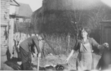 Prace w ogrodzie, ul. Modlińska 10, Białystok, 1959 r.