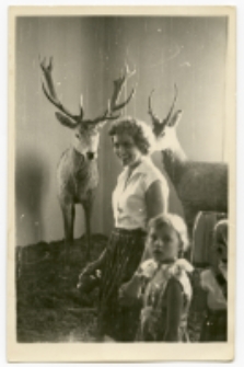 W Muzeum Przyrodniczo-Leśnym, Białowieża, lata 60. XX w.