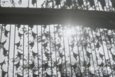 Ogród przy domy, Białystok, druga połowa lat 70. XX w., fot. ze zbiorów Andrzeja Trzcińskiego