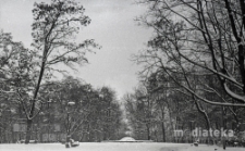 Las Zwierzyniecki, Białystok, ok. 1978 r., fot. ze zbiorów Andrzeja Trzcińskiego