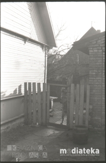 Pies na podwórzu, Białystok, druga połowa lat 70. XX w., fot. ze zbiorów Andrzeja Trzcińskiego