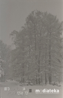 Park Planty, Białystok, ok. 1978 r., fot. ze zbiorów Andrzej Trzcińskiego