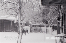 Zaplecze podwórza z psem zimową porą, Białystok, druga połowa lat 70. XX w., fot. ze zbiorów Andrzeja Trzcińskiego