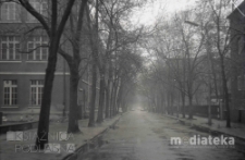 Aleja drzew, Warszawa, druga połowa lat 70. XX w., fot. ze zbior&oacute;w Andrzej Trzcińskiego