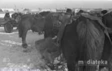 Ludzie wśród koni i sań, druga połowa lat 70. XX w., fot. ze zbiorów Andrzej Trzcińskiego