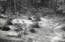 Las iglasty zimą, druga połowa lat 70. XX w., fot. ze zbior&oacute;w Andrzej Trzcińskiego