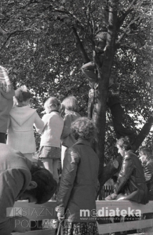 Dziecko na drzewie podczas koncertu, Bielsk Podlaski, druga połowa lat 70. XX w., fot. ze zbiorów Andrzeja Trzcińskiego