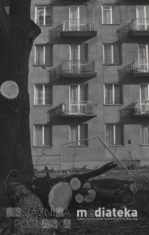 Ścięte konary przed blokiem, Białystok, druga połowa lat 70. XX w., fot. ze zbior&oacute;w Andrzeja Trzcińskiego