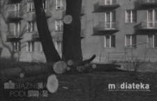 Ścięte konary przed blokiem, Białystok, druga połowa lat 70. XX w., fot. ze zbiorów Andrzeja Trzcińskiego