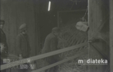 Mł&oacute;cenie słomy, druga połowa lat 70. XX w., fot. ze zbior&oacute;w Andrzeja Trzcińskiego