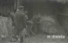 Młócenie słomy, druga połowa lat 70. XX w., fot. ze zbiorów Andrzeja Trzcińskiego