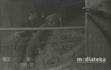 Młócenie słomy, druga połowa lat 70. XX w., fot. ze zbiorów Andrzeja Trzcińskiego