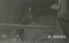 Młócenie słomy, druga połowa lat 70. XX w., fot. ze zbiorów Andrzeja Trzcińskiego