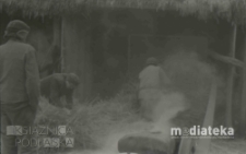 Młócenie słomy, druga połowa lat 70. XX w., fot. ze zbiorów Andrzeja Trzcińskiego