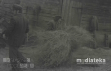 Młócenie słomy, druga połowa lat 70. XX w., fot. ze zbiorów Andrzeja Trzcińskiego