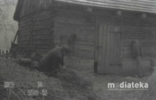 Młócenie słomy, druga połowa lat 70. XX w., fot. ze zbiorów Andrzeja Trzcińskiego